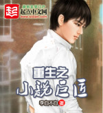《重生之小说巨匠》(校对版全本)作者:李白不白 百度云txt全集下载 封面