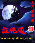 《证魂道》（校对版全本）作者：典玄 百度云txt全集下载 封面