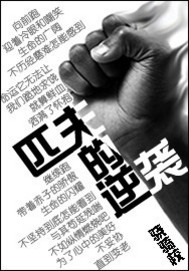 《匹夫的逆袭》（校对版全本）作者：骁骑校 百度云txt全集下载 封面