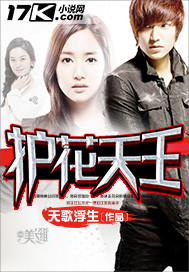《护花天王》（校对版全本）作者：天歌浮生 百度云txt全集下载 封面