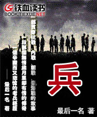 《兵》（校对版全本）作者：最后一名 百度云txt全集下载 封面