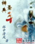 《神兵圣手》（校对把全本）作者：林中清风 百度云txt全集下载 封面