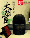 《大明官》(精校版全本)作者:随轻风去 百度云txt全集下载 封面