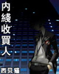 《内线收买人》（校对版全本）作者：西贝猫 百度云txt全集下载 封面