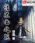 《法兰西之花》（校对版全本）作者：烽霜 百度云txt全集下载 封面