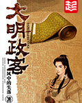 《大明政客》(校对版全本)作者:风中的失落 百度云txt全集下载 封面