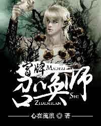 《冒牌召唤师》（校对版全本）作者：心在流浪 百度云txt全集下载 封面