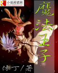 《魔法王子》(校对版全本)作者:休丁 百度云txt全集下载 封面