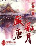 《盛唐风月》(校对版全本)作者:府天 百度云txt全集下载 封面