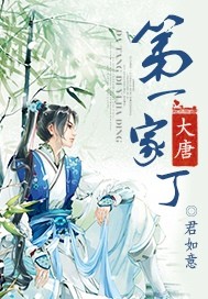 《大唐第一家丁》（校对版全本）作者：君如意 百度云txt全集下载 封面