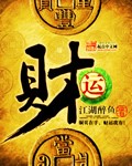 《财运》(校对版全本)作者:江湖醉鱼 百度云txt全集下载 封面