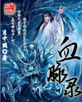《血脉录》（校对版全本）作者：月中阴 百度云txt全集下载 封面