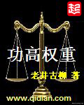 《功高权重(少年高官)》(校对版全本)作者:老井古柳 百度云txt全集下载 封面