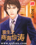 《重生之商海惊涛》（校对版全本）作者：文心虫 百度云txt全集下载 封面