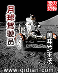 《月球驾驶员》（校对版全本）作者：美味罗宋汤 百度云txt全集下载 封面