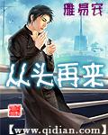 《从头再来》（校对版全本）作者：雅易安 百度云txt全集下载 封面