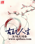 《古玩人生》（校对版全本）作者：可大可小 百度云txt全集下载 封面