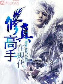 《修真高手在现代》（校对版全本）作者：紫气东来 百度云txt全集下载 封面