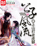 《公子风流》（校对版全本）作者：上山打老虎额 百度云txt全集下载 封面