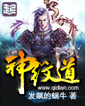 《神纹道》（校对版全本）作者：发飙的蜗牛 百度云txt全集下载 封面