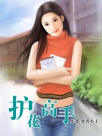 《护花高手》（校对版全本）作者：寒香小丁 百度云txt全集下载 封面