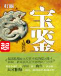 《宝鉴》（校对版全本）作者：打眼 百度云txt全集下载 封面