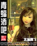 《青蝠酒吧》(校对版全本)作者:孔雀高飞 百度云txt全集下载 封面