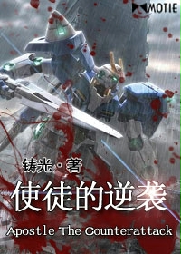 《使徒的逆袭》（校对版全本）作者：铸光 百度云txt全集下载 封面