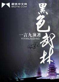 《黑色武林》(校对版全本)作者:一言九顶 百度云txt全集下载 封面