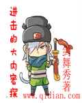 《进击的大内密探》（校对版全本）作者：剑舞秀 百度云txt全集下载 封面
