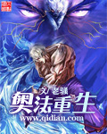 《奥法重生》（校对版全本）作者：老骚 百度云txt全集下载 封面