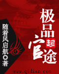 《极品官途》(校对版全本)作者:随着风启航 百度云txt全集下载 封面