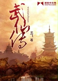 《武仙传》（校对版全本）作者：龙飞 百度云txt全集下载 封面