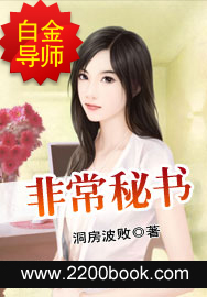 《非常秘书》（校对版全本）作者：洞房波败 百度云txt全集下载 封面