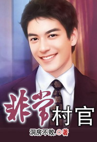 《非常村官》(校对版全本)作者:洞房不败 百度云txt全集下载 封面