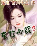 《玄女心经2》(校对版全本)作者:玄风斗士 百度云txt全集下载 封面