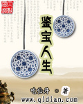 《鉴宝人生》（校对版全本）作者：吃仙丹 百度云txt全集下载 封面