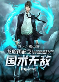 《龙蛇再起之国术无敌》（校对版全本）作者：海上之梅 百度云txt全集下载 封面