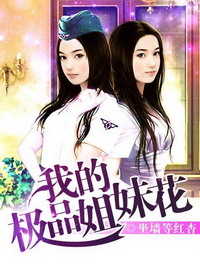《我的极品姐妹花(超级低手、美女的完美高手)》（校对版全本）作者：坐墙等红杏 百度云txt全集下载 封面