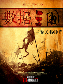 《数据三国》（校对版全本）作者：三卷天书 百度云txt全集下载 封面