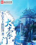 《大豪门》（校对版全本）作者：不信天上掉馅饼 百度云txt全集下载 封面