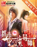 《都市里的魔导师》（校对版全本）作者：纯洁的了了 百度云txt全集下载 封面