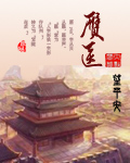 《赝医》（校对版全本）作者：望平安 百度云txt全集下载 封面