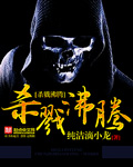 《杀戮沸腾》(校对版全本)作者:纯洁滴小龙 百度云txt全集下载 封面