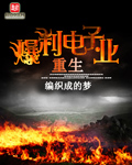 《重生爆利电子业》(校对版全本)作者:编织成的梦 百度云txt全集下载 封面