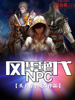 《风华绝代NPC》（校对版全本）作者：头上有个坑 百度云txt全集下载 封面