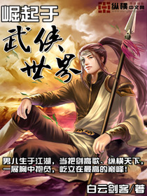 《崛起于武侠世界》（校对版全本）作者：白云剑客 百度云txt全集下载 封面