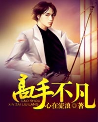 《高手不凡》（校对版全本）作者：心在流浪 百度云txt全集下载 封面