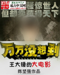 《王大锤的大电影》(校对版全本)作者:陈坚强 百度云txt全集下载 封面