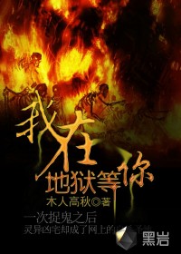 《我在地狱等你》（校对版全本）作者：木人高秋 百度云txt全集下载 封面